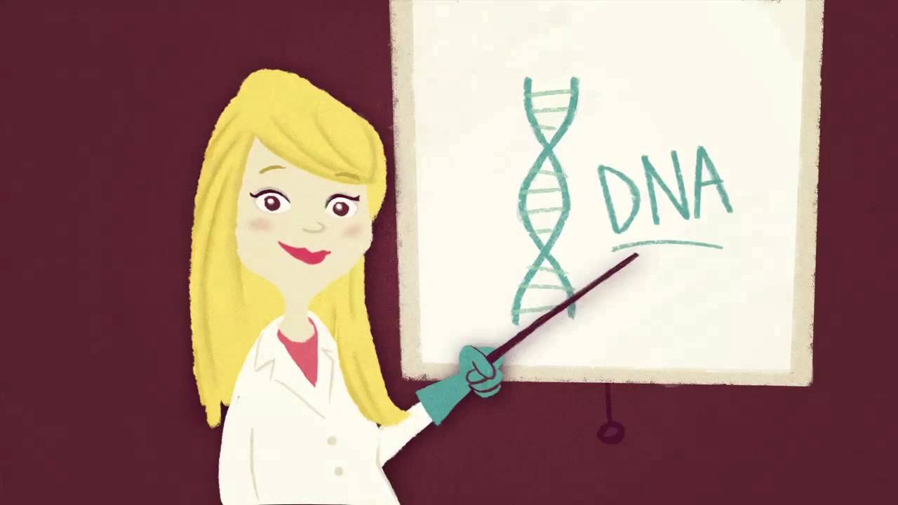 Golden Mussel's genome, Crowdfunding Campaign - English Version