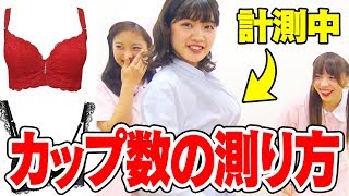 【おっぱい】カップ数の測り方を教えて？【教えてせいか先生！】