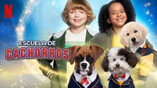 Escuela de cachorros  adorables perritos y su raza  serie Netflix 2020