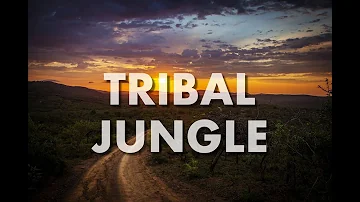 ROYALTY FREE Tribal Jungle Nature Africa Ethnic Instrumental Background Music For Videos