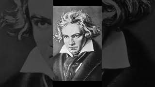 Beethoven- Symphony #1 in C Major 3rd Mov. Variation #classicalmusic #beethoven #symphony