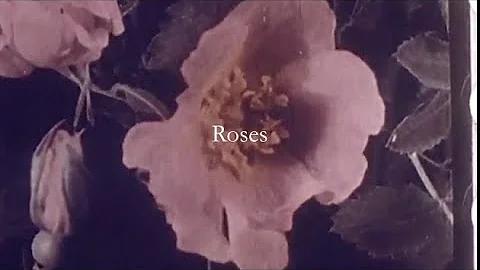 "ROSES" - Emily Kuhn featuring Helios