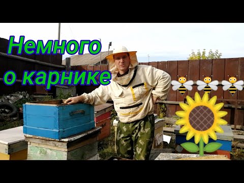 Немного о карнике.