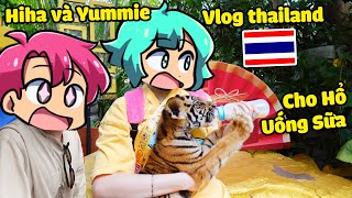 Hiha và Yummie Cho Hổ Con Bú Sữa Ngoài Đời Tại Thái Lan ( Hiha và Yummie Vlog ) 🥰🐯
