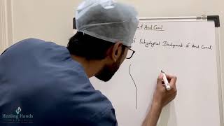 Embryology of Rectum & Anal Canal - Part 4 | Origin of nerve and blood supply of Anal Canal |