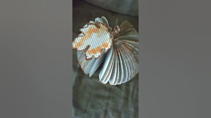 Book page Pumpkin