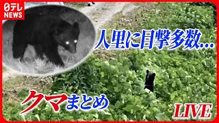 【クマまとめ】住宅敷地にも“クマ”目撃相次ぐ / 牛66頭襲ったクマ「OSO18」を駆除 / 造船所に立てこもっていた「クマ」空き地に“居座る”　など（日テレニュース LIVE）