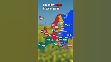 How does your Country spell "Bread" ? #mapping #geography #europe #tiktok #maps #languages  #maps