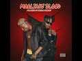 Mr lino  marlians blood feat naira marley official audio