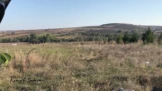 Seyfi Doğanay Karamuk Dalını Eğmiş