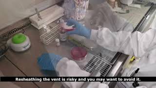 Processing a positive blood culture