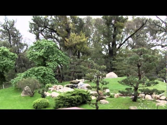 Watch 泣き笑い人生 Naki Warai Jinsei - 美空ひばり Misora Hibari - Cover by Tomby.mpg on YouTube Watch 泣き笑い人生 Naki Warai Jinsei - 美空ひばり Misora Hibari - Cover by Tomby.mpg on YouTube