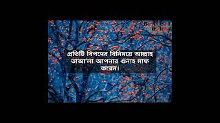 প্রতিটি বিপদের বিনিময়ে আল্লাহ তাআলা আপনার গুনাহ মাফ করেন।