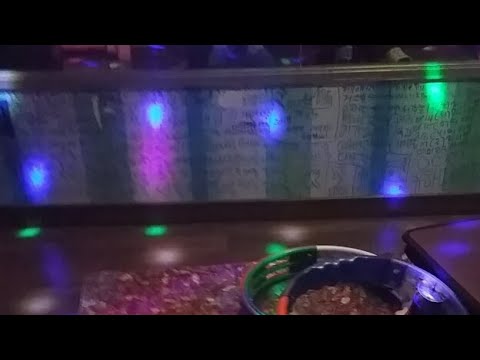 사랑앓이 아일랜드 꿈노래방 5번방 2018 09 22 토