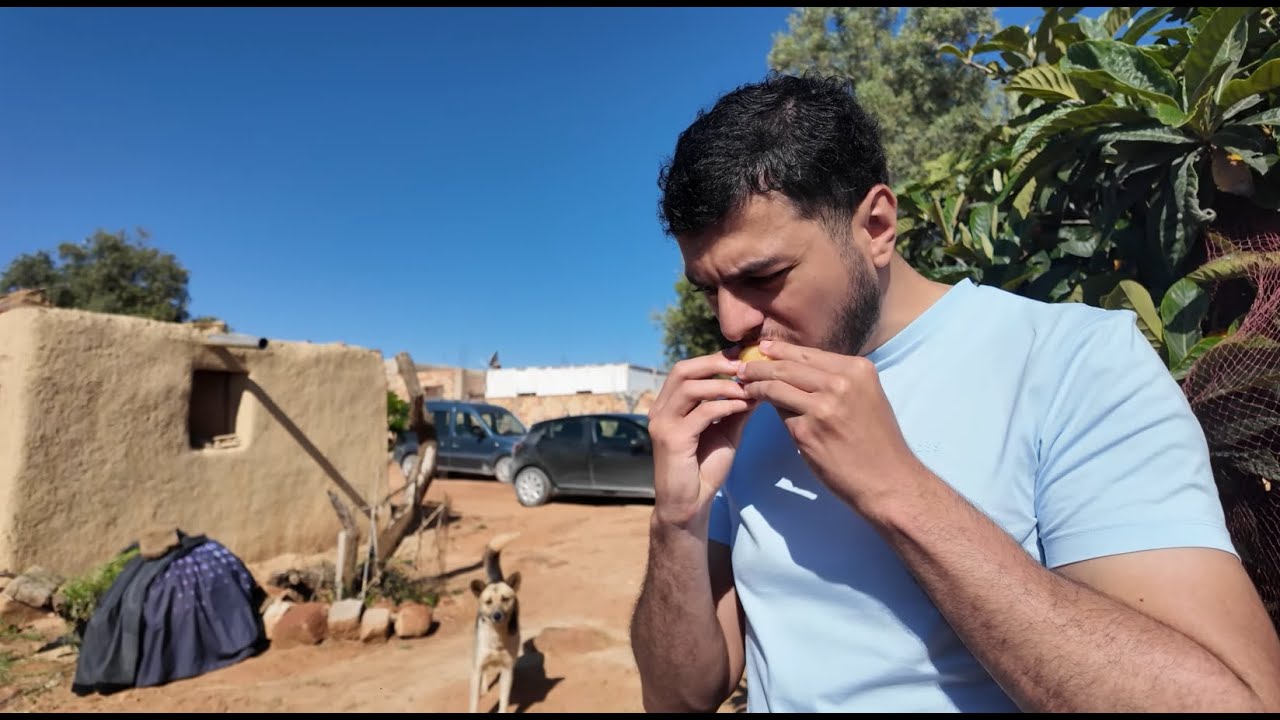 Le RIF tout en vert au Maroc 🇲🇦