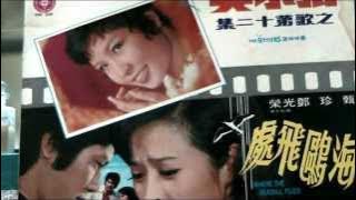 海鷗飞處——张小英