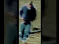 Delphi Murders. Bridge Guy. Slowed. #shorts