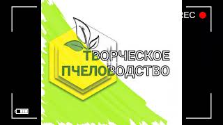 видео: Формирование отводков для усиления основных семей на главный взяток. картинка: Формирование отводков для усиления основных семей на главный взяток.