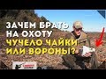 Зачем охотнику чучело чайки и вороны//Обзор чучел от Sport Plast