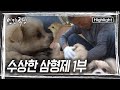 폐암 진단을 받은 동수 씨를 위해 형과 동생은 그의 곁을 지키기로 결심했다 인간극장 KBS 방송 폐암 진단을 받은 동수 씨를 위해 형과 동생은 그의 곁을 지키기로 결심했다 인간극장 KBS 방송