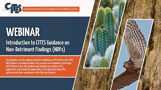 CITES Webinar: Introduction to CITES Guidance on Non-Detriment Findings (NDFs)
