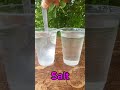 Salt Water Vs Sugar Water With Shampoo Easy Experiment mp3