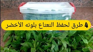 4 طرق لحفظ النعناع بلونه الأخضر الفريش@Bskota