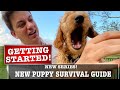 NEW PUPPY SURVIVAL GUIDE: Getting Started! Biting, Potty Training & More! (EP 2)