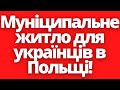 Як отримати муніципальне житло українцям в Польщі?!