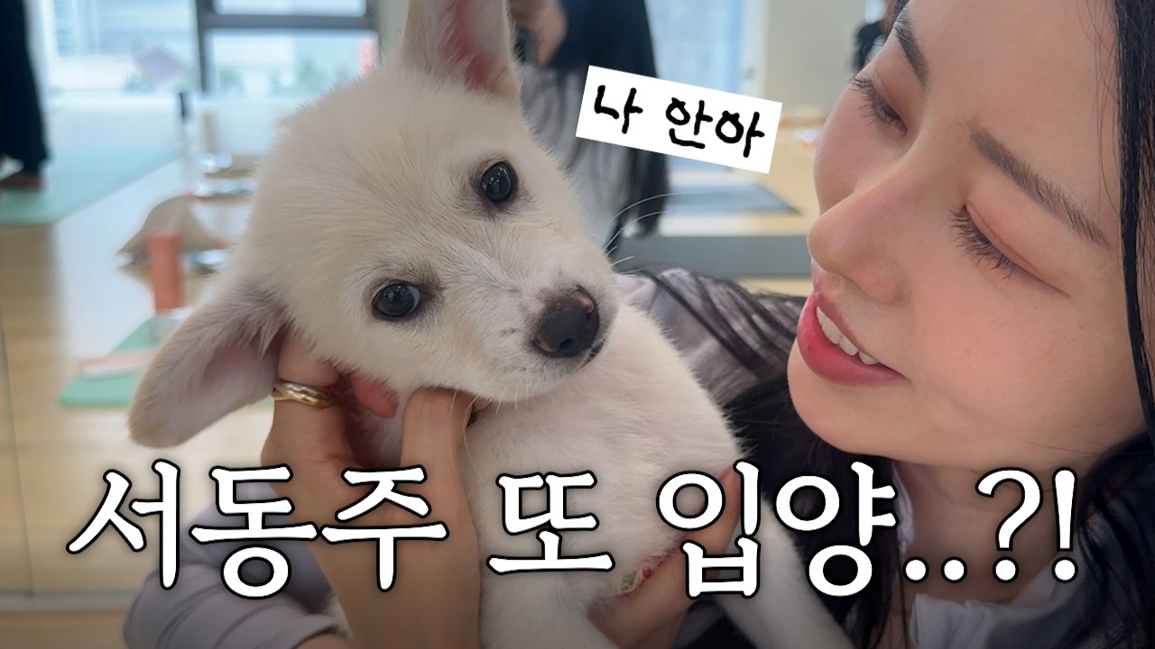 서동주 난임 근황🌿 그리고 강아지들이 방해하는(?) 요가 수업😍 ㅣ퍼피요가, 유엄빠