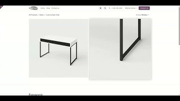 Website Product Social Media Sharing Odoo V19