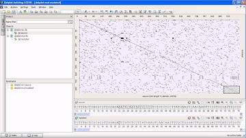 Unipro UGENE podcast #28: Using Dotplot to compare sequences