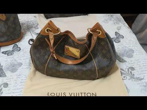 Louis Vuitton, Bags, Authentic Louis Vuitton Monogram Delightful  Discontinued