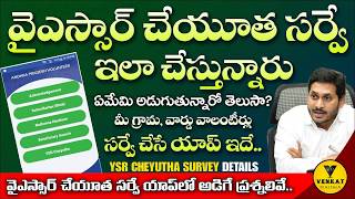 వాలంటీర్లు ysr చేయూత సర్వే చేసేది ఈ యాప్ లోనే |how to apply ysr cheyutha|Ysr cheyutha survey process