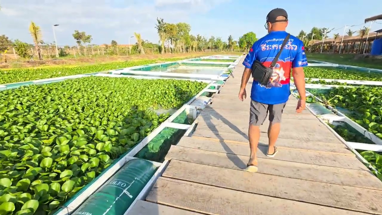 Путешествие по Камбодже 2026 года 🇰🇭 | Из Баттамбанга в Пномпень и остановка в живописной сельско...