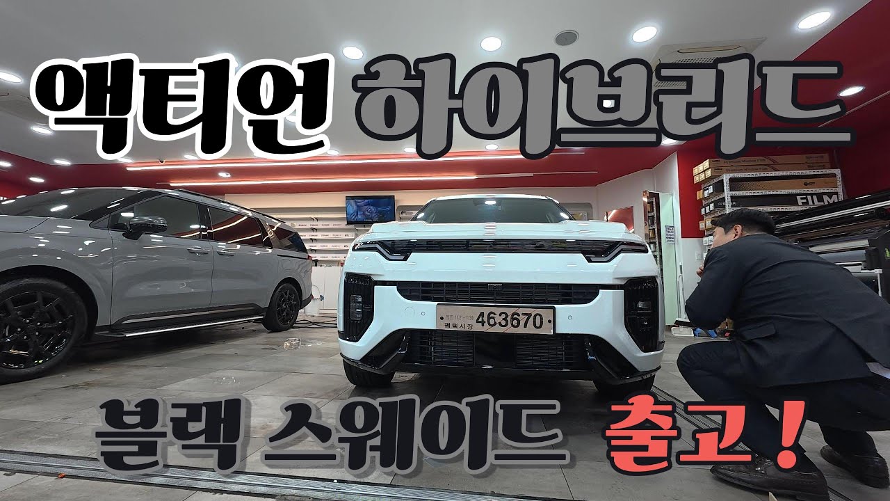 액티언 하이브리드 화이트 개별 소비세 연장 되었습니다