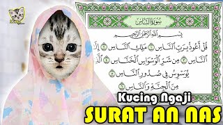 KUCING LUCU NGAJI SURAT AN NAS || Kitty Kucing Lucu