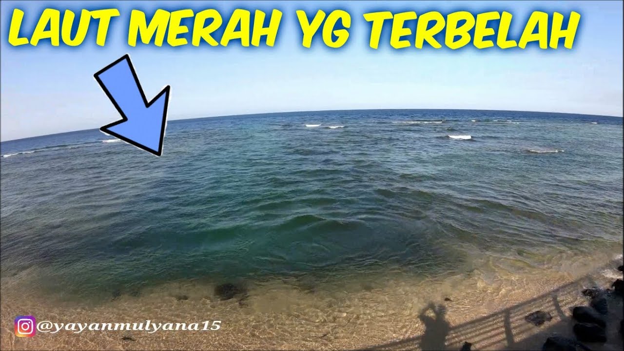  Laut Merah  Paimin Gambar