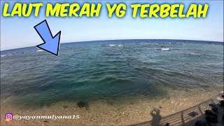 FENOMENA LAUT MERAH TERBELAH DI JEDDAH