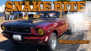 Snake Bite '66 Mustang Fastback Gasser Ford powered - 4 speed Gasser Profile
