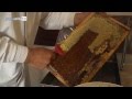 Extractia mierii de albine din bio stupii  ioan ursu pana la consumator  productie 2013