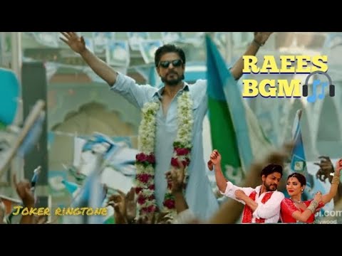 SRK BGM RAEES
