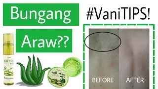 ALOE VERA GEL MIST for Bungang Araw or PRICKLY HEAT?