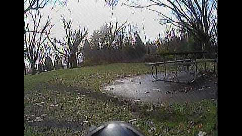 UMX Micro Radian FPV