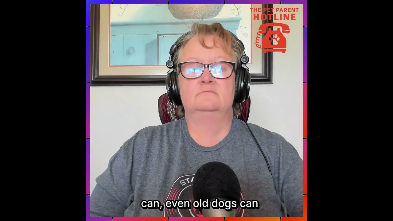 Frustrated With Your Dog? Get Help Here Frustrated With Your Dog? Get Help Here