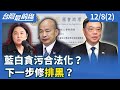 助理費除罪化法案爭議