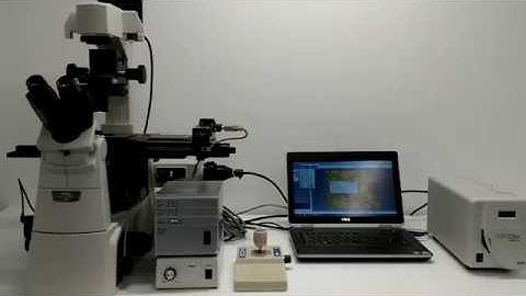 Nikon Ti-S Inverted Motorized Fluorescence Microscope [BOSTONIND] - 13491