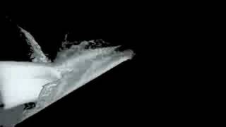 Flood&Fluid Simulation Net Worth