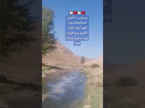 تيمحضيت أفضل سلاله الخروف ما شاء الله ولاقوةالا بالله بتوفيق ان شاء الله خير للجميع