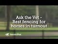 Ask the Vet - Best type of fencing for horses in turnout